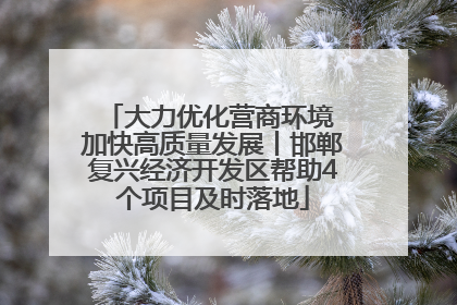 大力优化营商环境 加快高质量发展丨邯郸复兴经济开发区帮助4个项目及时落地