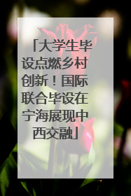 大学生毕设点燃乡村创新！国际联合毕设在宁海展现中西交融