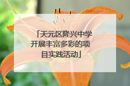 天元区隆兴中学开展丰富多彩的项目实践活动