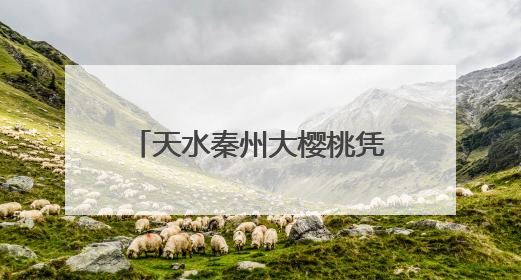 天水秦州大樱桃凭“甘味”香飘全国