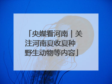 央媒看河南｜关注河南夏收夏种 野生动物等内容