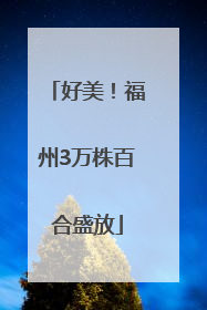 好美！福州3万株百合盛放