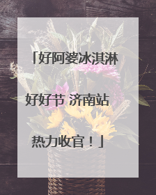 好阿婆冰淇淋好好节 济南站热力收官！