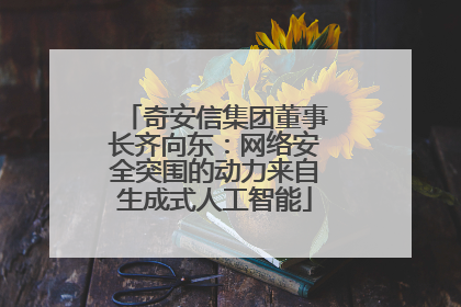 奇安信集团董事长齐向东：网络安全突围的动力来自生成式人工智能