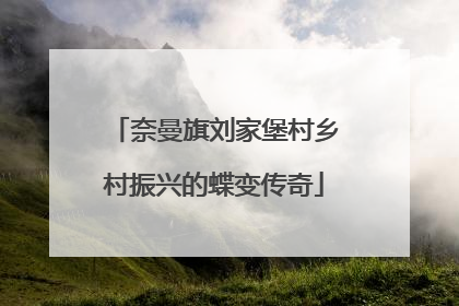 奈曼旗刘家堡村乡村振兴的蝶变传奇