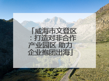 威海市文登区：打造对非合作产业园区 助力企业抱团出海