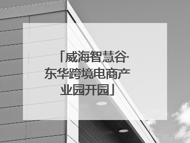 威海智慧谷·东华跨境电商产业园开园