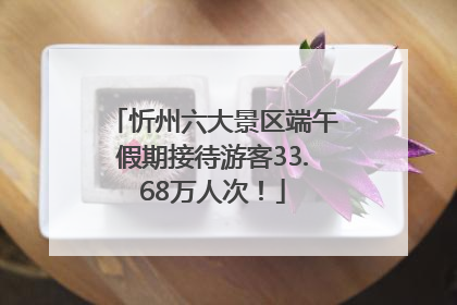 忻州六大景区端午假期接待游客33.68万人次！
