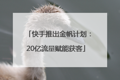 快手推出金帆计划：20亿流量赋能获客