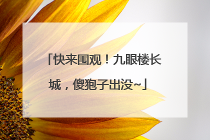 快来围观！九眼楼长城，傻狍子出没~