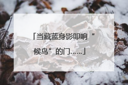 当藏蓝身影叩响“候鸟”的门……