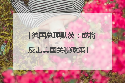 德国总理默茨：或将反击美国关税政策