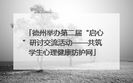 德州举办第二届“启心”研讨交流活动——共筑学生心理健康防护网