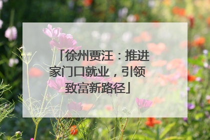 徐州贾汪：推进家门口就业，引领致富新路径