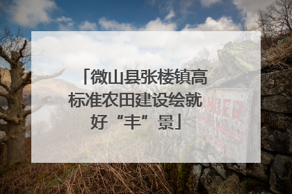 微山县张楼镇高标准农田建设绘就好“丰”景