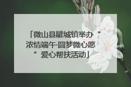 微山县驩城镇举办“浓情端午·圆梦微心愿”爱心帮扶活动