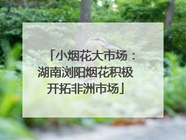 小烟花大市场：湖南浏阳烟花积极开拓非洲市场