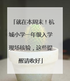 就在本周末！杭城小学一年级入学现场核验，这些提醒请收好
