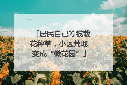 居民自己筹钱栽花种草，小区荒地变成“微花园”