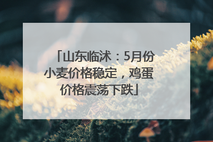 山东临沭：5月份小麦价格稳定，鸡蛋价格震荡下跌