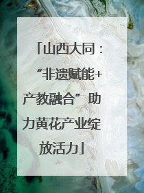 山西大同：“非遗赋能+产教融合”助力黄花产业绽放活力