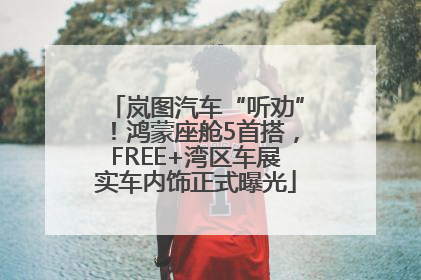 岚图汽车“听劝”！鸿蒙座舱5首搭，FREE+湾区车展实车内饰正式曝光