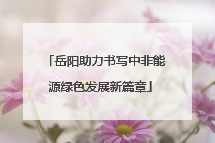 岳阳助力书写中非能源绿色发展新篇章