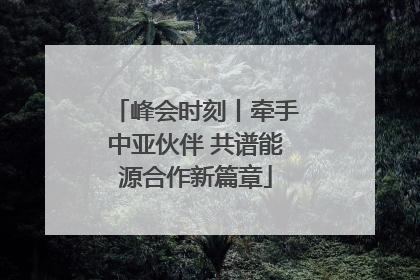 峰会时刻丨牵手中亚伙伴 共谱能源合作新篇章