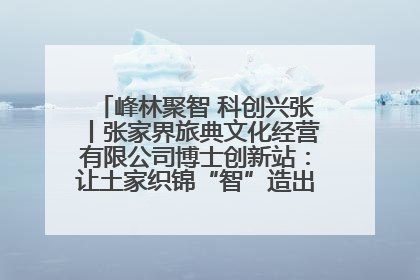 峰林聚智 科创兴张丨张家界旅典文化经营有限公司博士创新站：让土家织锦“智”造出非遗新传奇