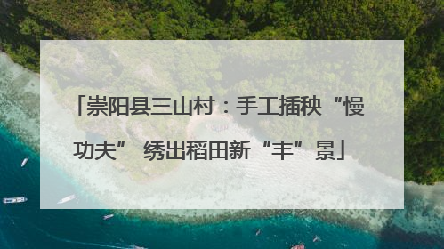 崇阳县三山村：手工插秧“慢功夫” 绣出稻田新“丰”景