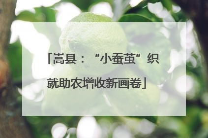 嵩县：“小蚕茧”织就助农增收新画卷