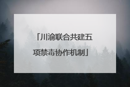 川渝联合共建五项禁毒协作机制
