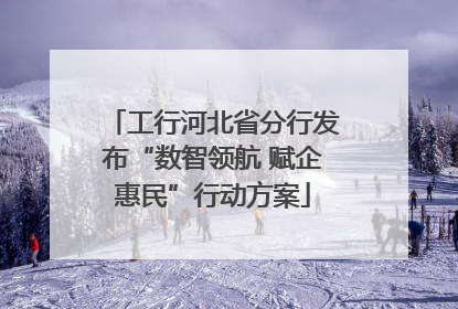 工行河北省分行发布“数智领航 赋企惠民”行动方案