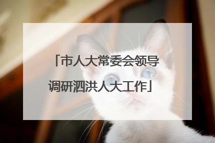 市人大常委会领导调研泗洪人大工作