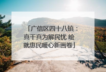 广信区四十八镇：真干真为解民忧 绘就惠民暖心新画卷