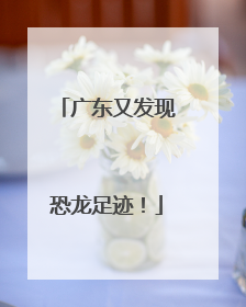 广东又发现恐龙足迹！