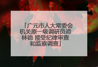 广元市人大常委会机关原一级调研员谭林德 接受纪律审查和监察调查