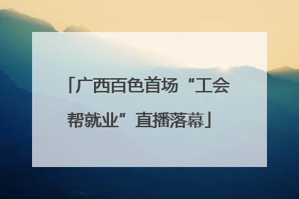 广西百色首场“工会帮就业”直播落幕