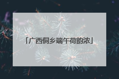 广西侗乡端午荷韵浓
