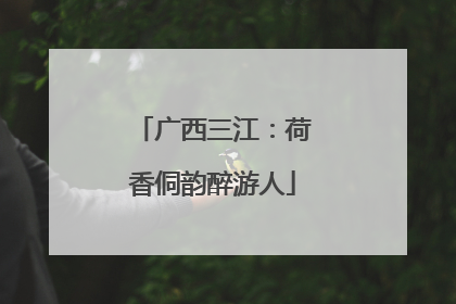 广西三江：荷香侗韵醉游人
