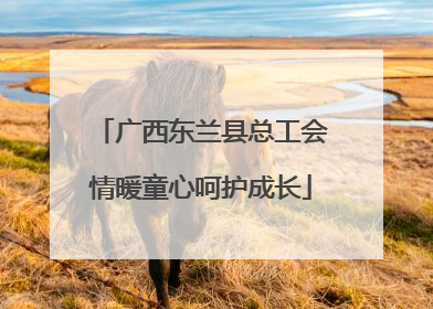广西东兰县总工会情暖童心呵护成长