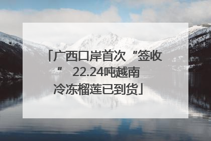 广西口岸首次“签收” 22.24吨越南冷冻榴莲已到货