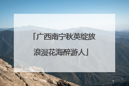 广西南宁秋英绽放 浪漫花海醉游人