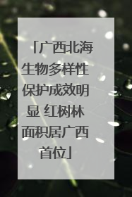 广西北海生物多样性保护成效明显 红树林面积居广西首位