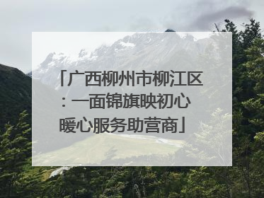 广西柳州市柳江区：一面锦旗映初心 暖心服务助营商