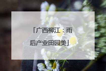 广西柳江：雨后产业田园美