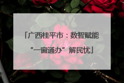 广西桂平市：数智赋能“一窗通办”解民忧