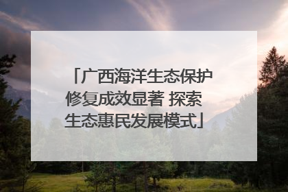广西海洋生态保护修复成效显著 探索生态惠民发展模式