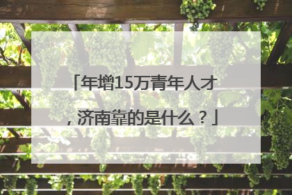 年增15万青年人才，济南靠的是什么？