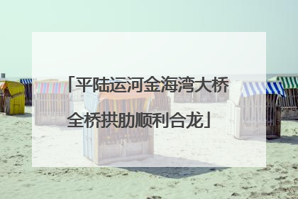 平陆运河金海湾大桥全桥拱肋顺利合龙